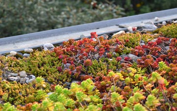 the cost of Fairview green roof installation