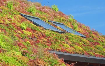 Fairview living roof systems