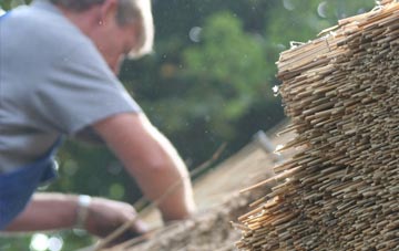 professional Fairview thatchers